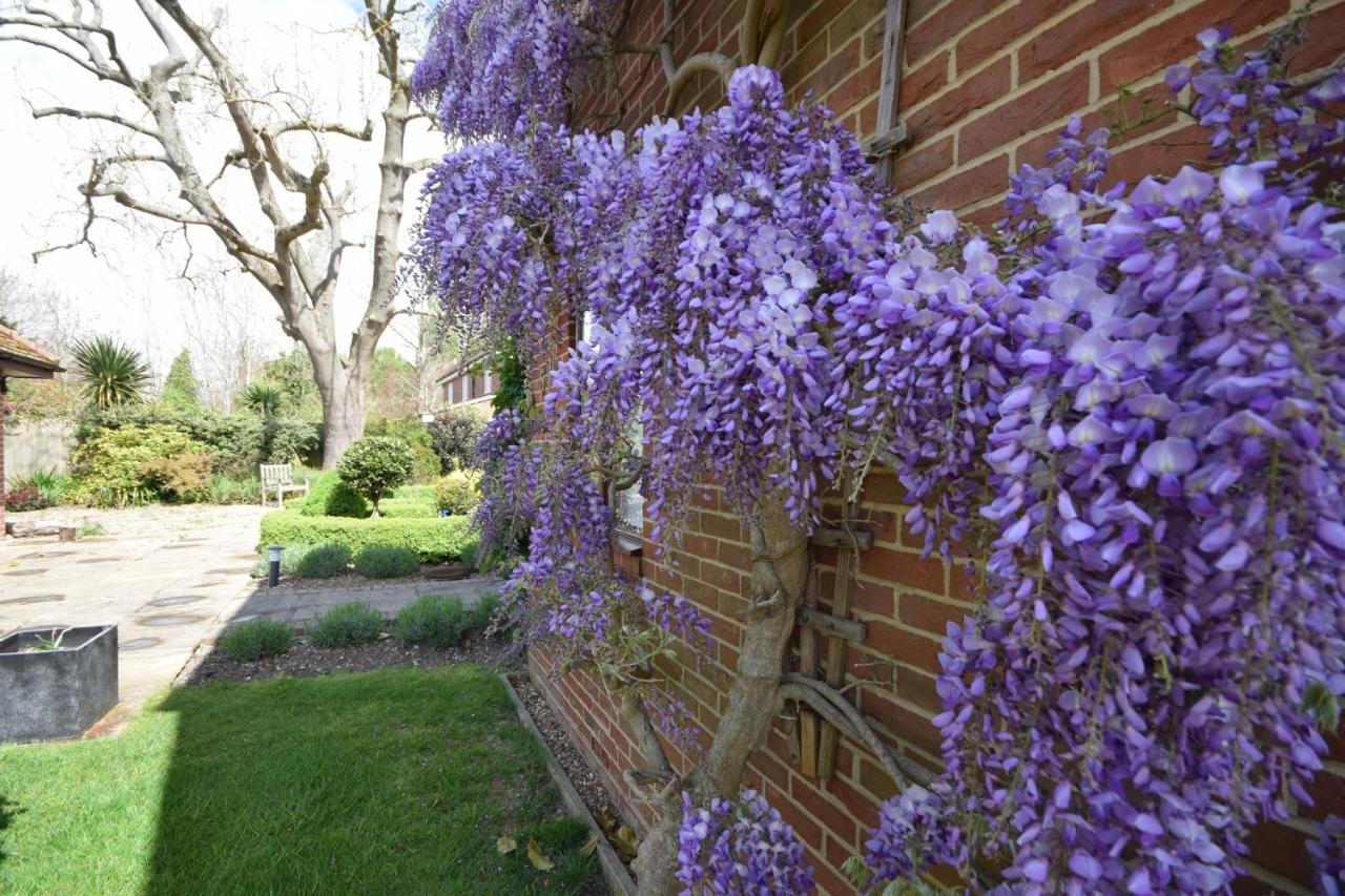 Wisteria Way, Tangmere Exteriér fotografie